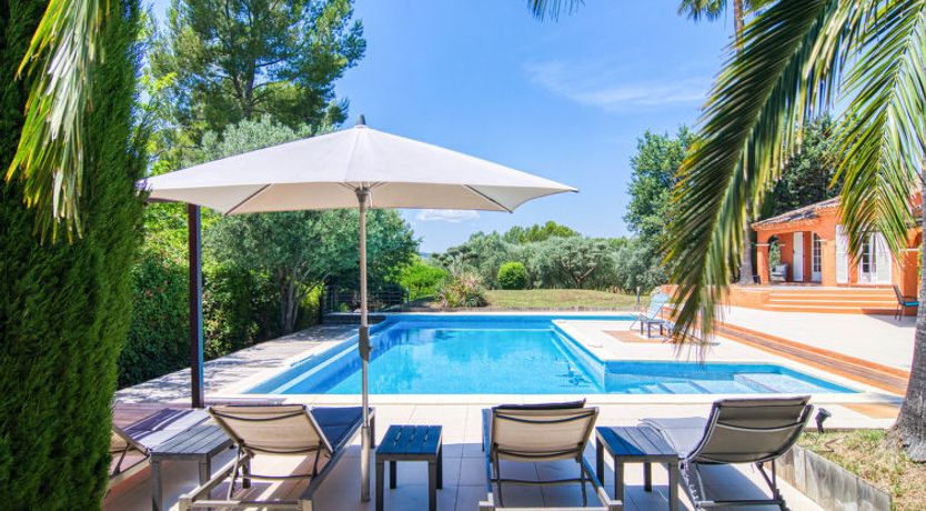 Photo of Micocoulier