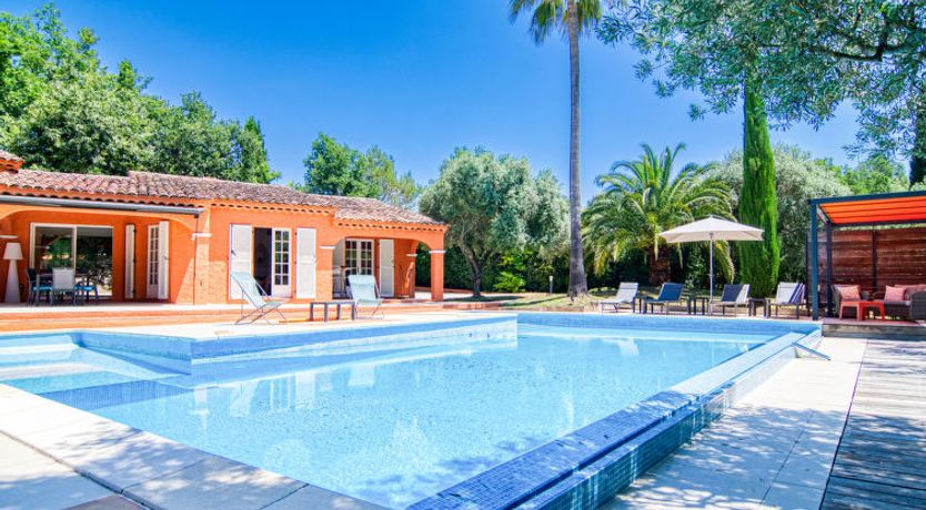 Photo of Micocoulier