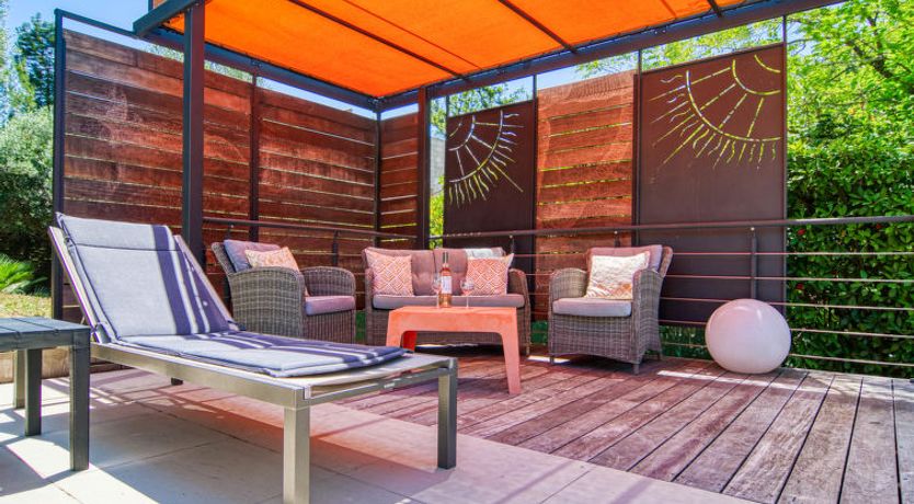 Photo of Micocoulier