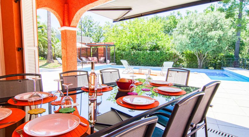 Photo of Micocoulier