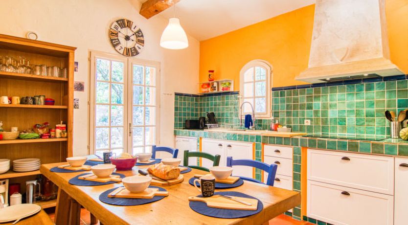 Photo of Micocoulier