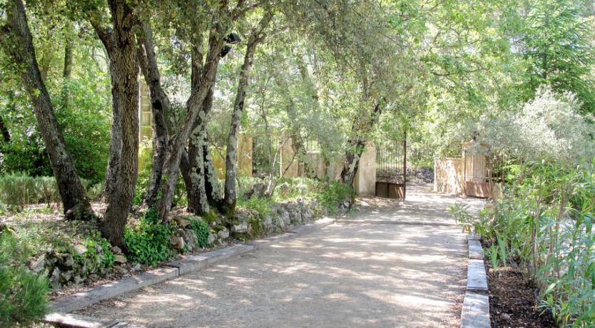 Photo of Mas des Lavandes