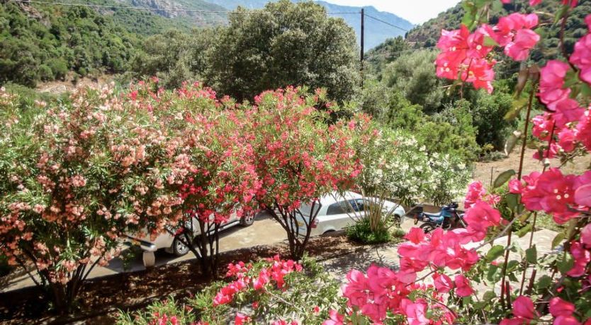 Photo of Residence Cabanaccia 3 Pieces 6 Pers Apartment 3