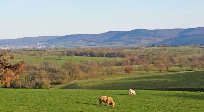 Photo of Premier gîte de Bouton