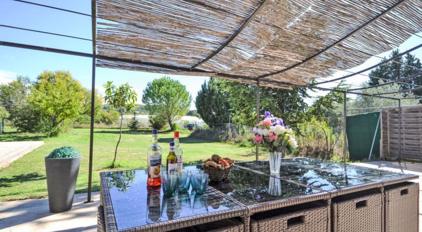 Photo of L' amandier