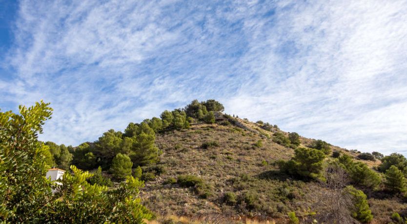 Photo of Villa Preciosa