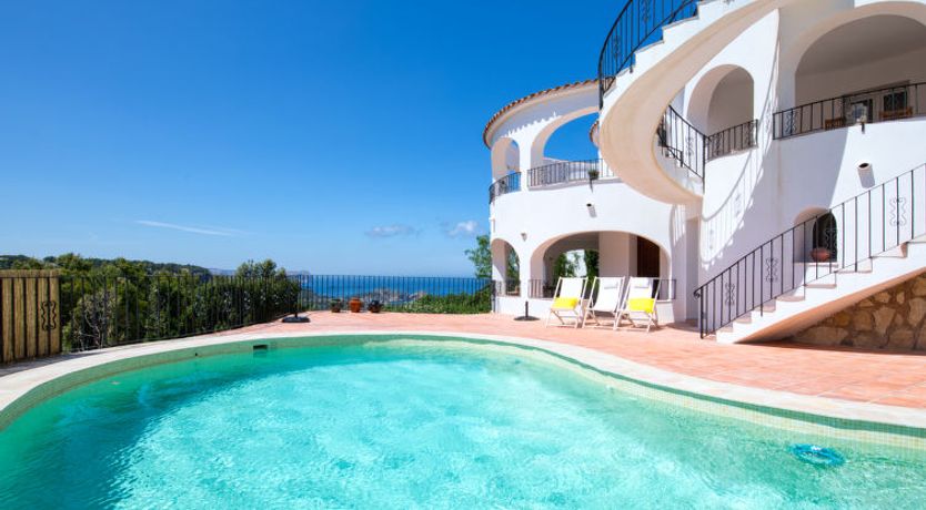 Photo of Los Buhitos