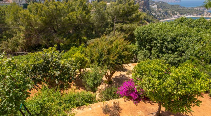 Photo of Los Buhitos