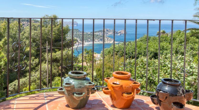 Photo of Los Buhitos