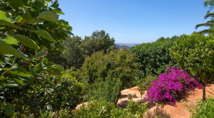 Photo of Los Buhitos