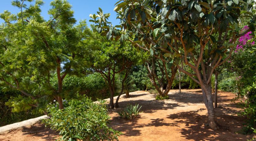 Photo of Los Buhitos