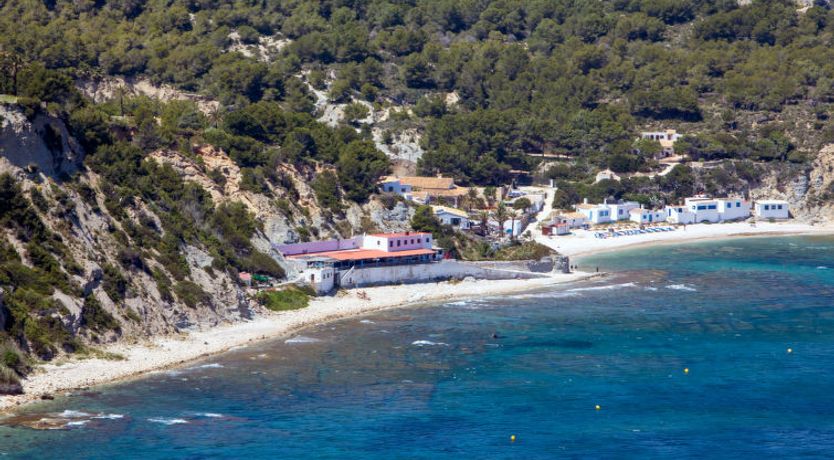 Photo of Los Buhitos