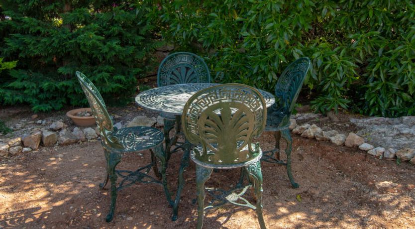 Photo of Los Buhitos