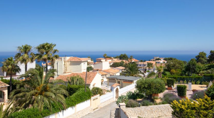 Photo of Los Buhitos