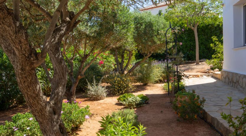 Photo of Los Buhitos