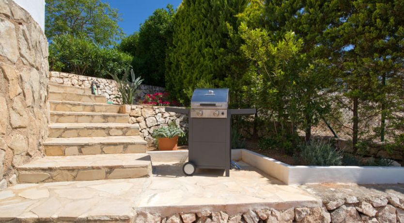 Photo of Los Buhitos