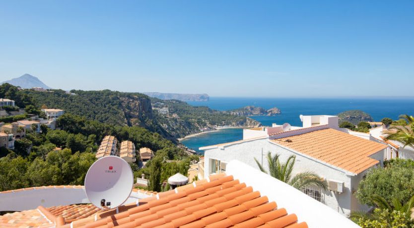 Photo of Los Buhitos