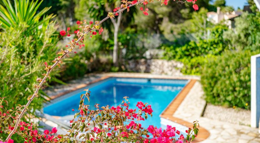 Photo of Casa Katharina