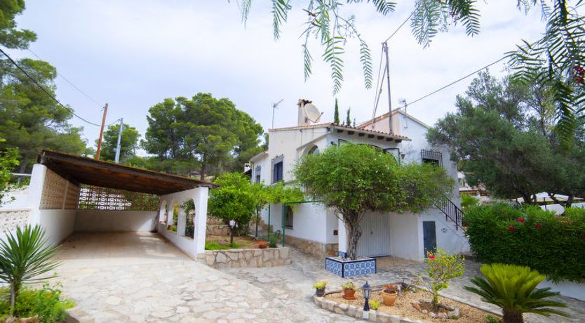 Photo of La Cigarra