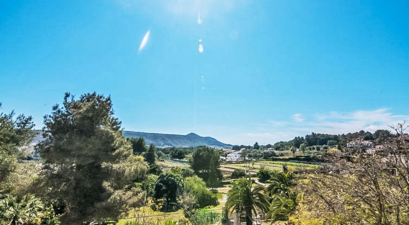 Photo of New Antoinette