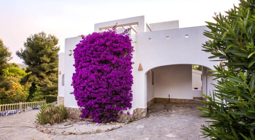 Photo of New Antoinette