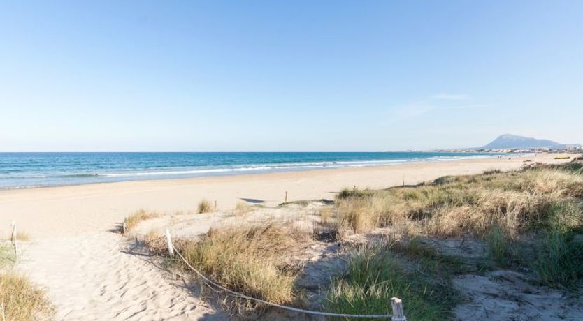 Photo of Nueva Playa