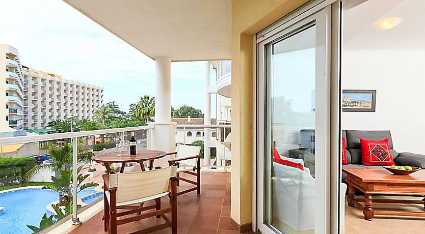 Photo of Estrella del Mar