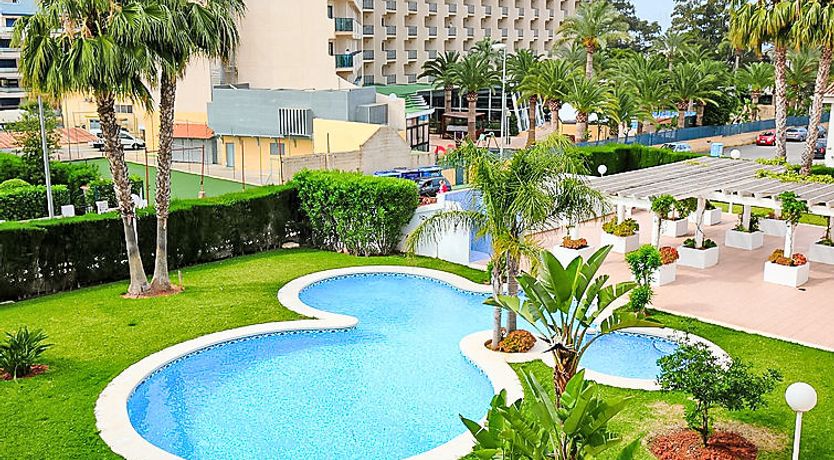 Photo of Estrella del Mar