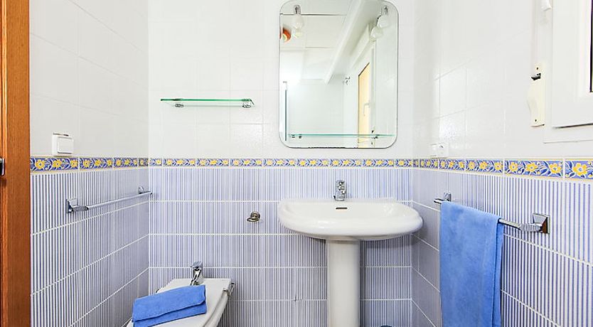 Photo of Estrella del Mar