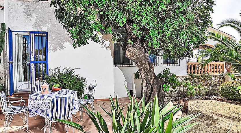 Photo of Mirada al Sol