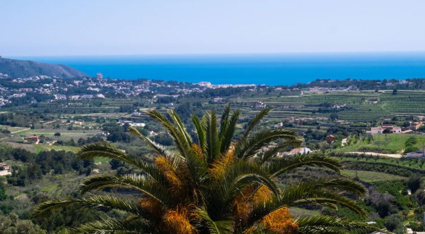 Photo of Castellons Vida