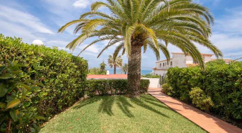 Photo of Montanar Plus