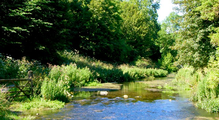 Photo of River Cottage