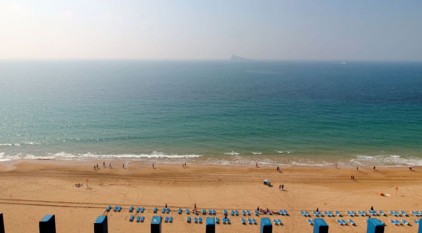 Photo of Las Palmeras