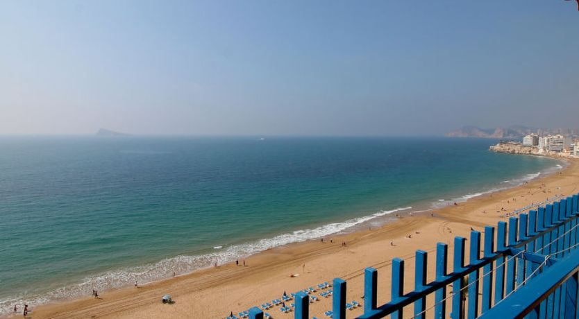 Photo of Las Palmeras