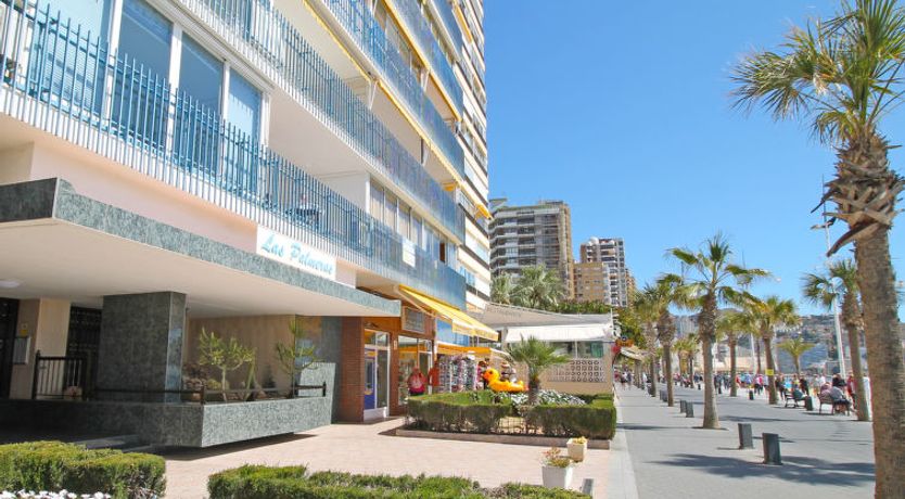 Photo of Las Palmeras