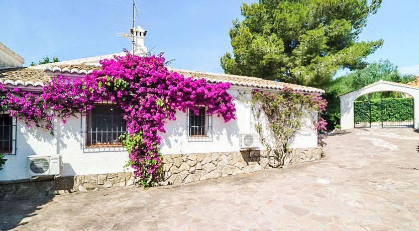 Photo of Tesoro Park