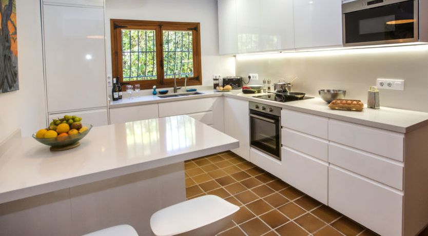 Photo of Mirlo Canta