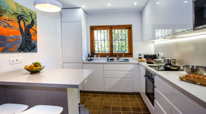 Photo of Mirlo Canta