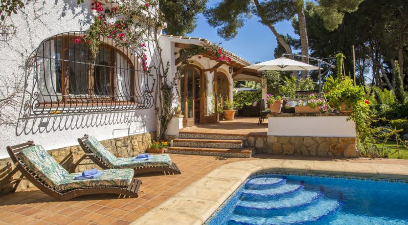 Photo of Mirlo Canta