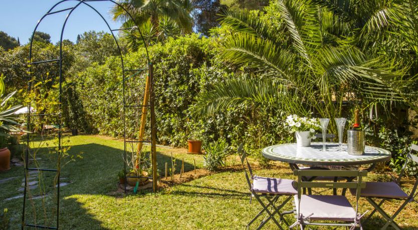 Photo of Mirlo Canta