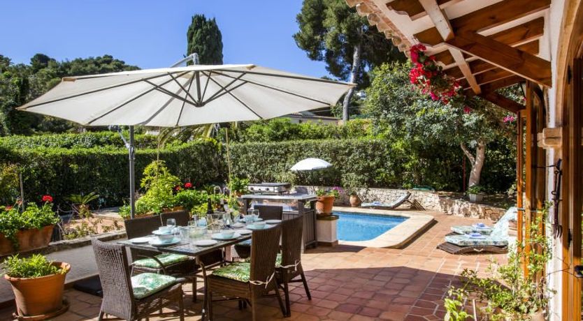 Photo of Mirlo Canta