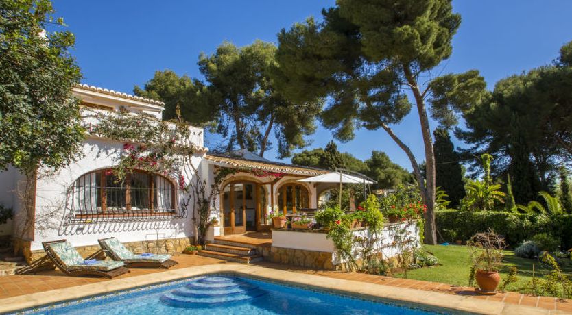 Photo of Mirlo Canta