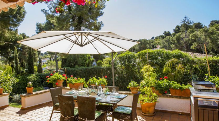 Photo of Mirlo Canta