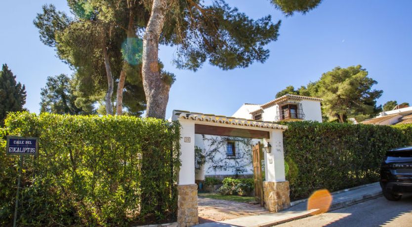 Photo of Mirlo Canta