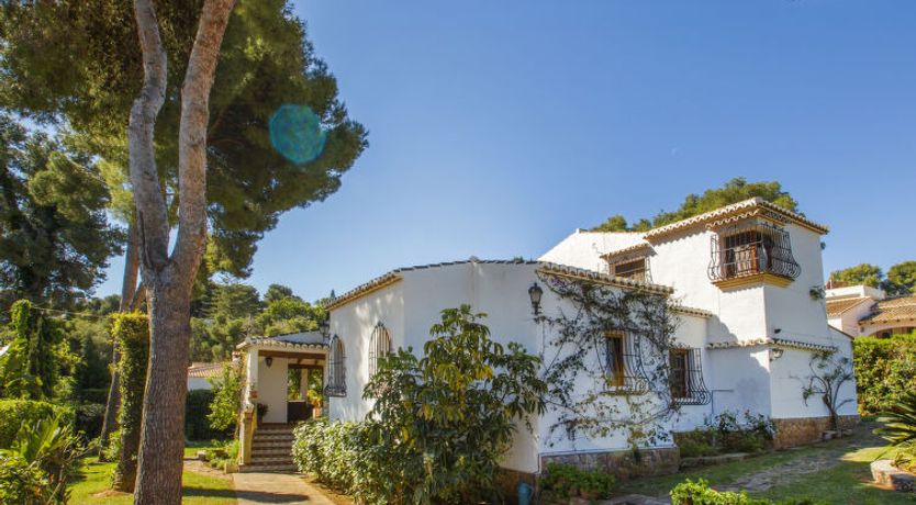 Photo of Mirlo Canta