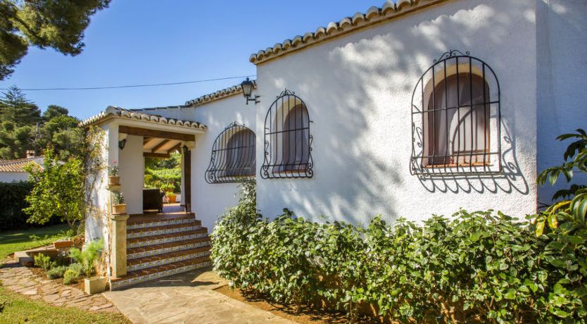 Photo of Mirlo Canta