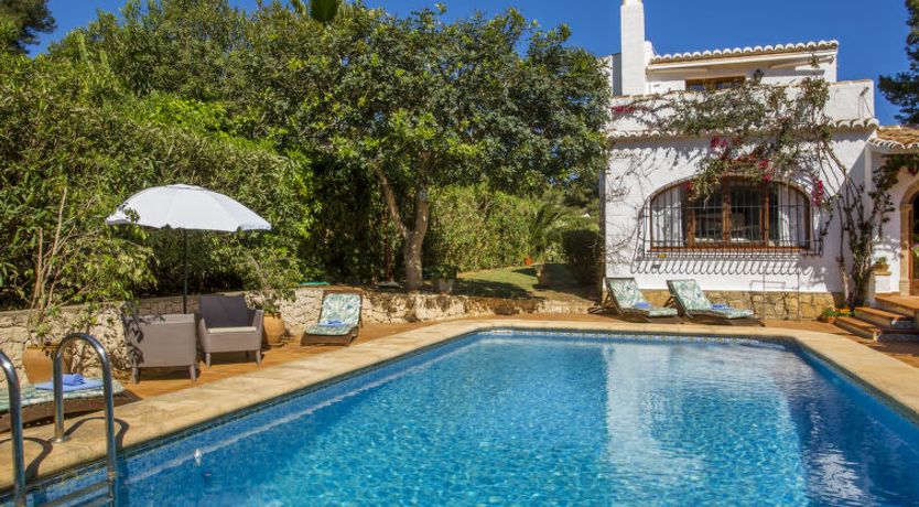 Photo of Mirlo Canta