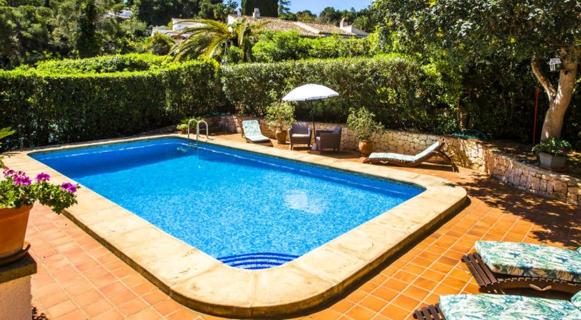 Photo of Mirlo Canta