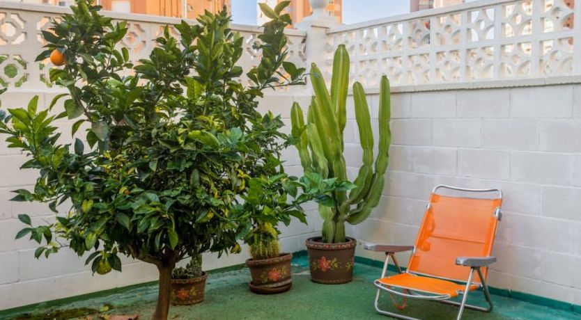 Photo of Rinconada Real Apartment 3